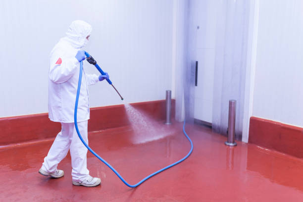 Best Driveway Pressure Washing  in Immokalee, FL